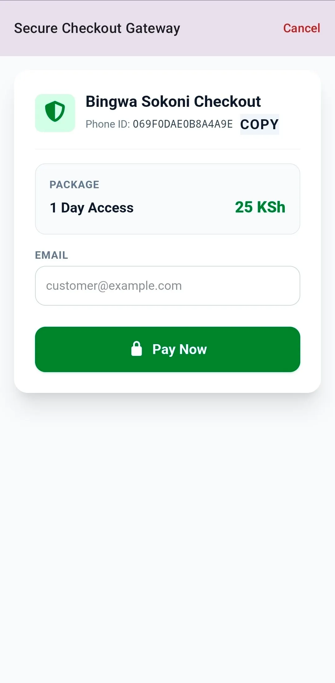 Checkout Page