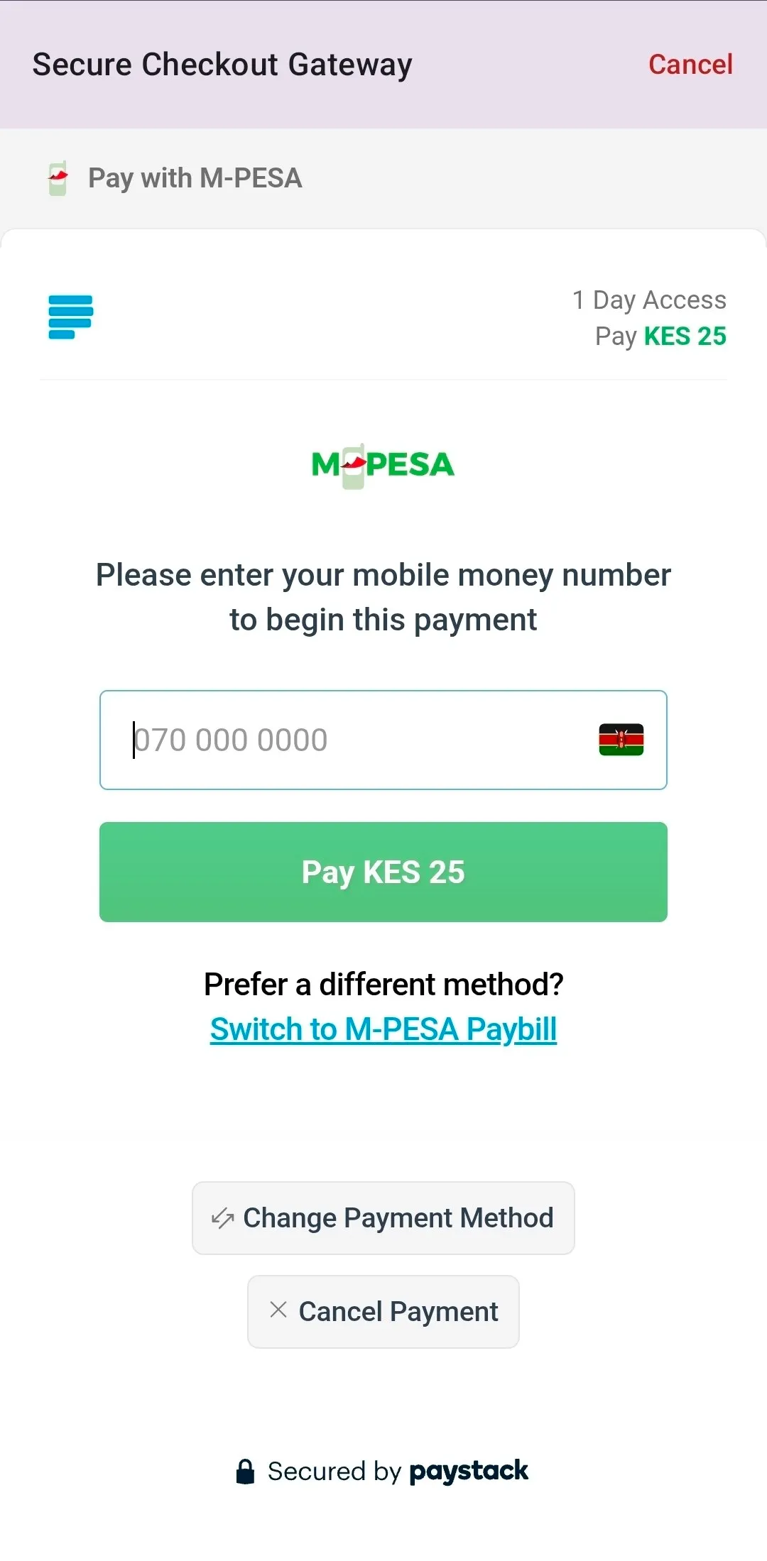 Mpesa Paystack Interface